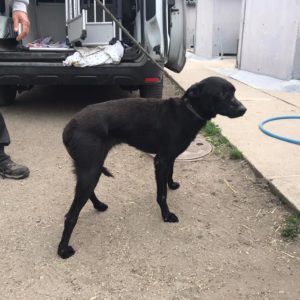 277568711_2162534963900045_8965241749389229812_n 277568711_2162534963900045_8965241749389229812_n