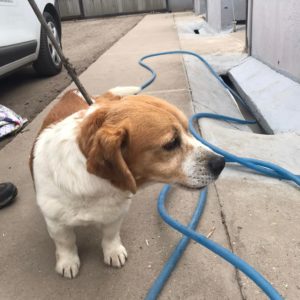 277576845_2162534853900056_444322560104642891_n 277576845_2162534853900056_444322560104642891_n