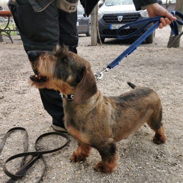 277763214_2165512800268928_2598422351382204509_n 277763214_2165512800268928_2598422351382204509_n