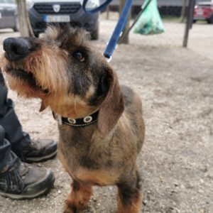 277777519_2165512733602268_1476652691133804661_n 277777519_2165512733602268_1476652691133804661_n