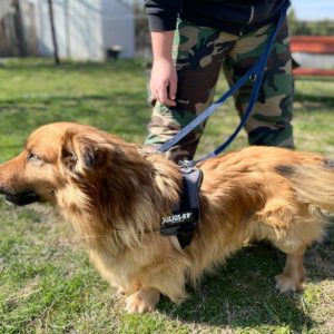 277788065_2166862190133989_1353057474021349627_n 277788065_2166862190133989_1353057474021349627_n