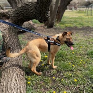 277793728_2166965223457019_519776984349387551_n