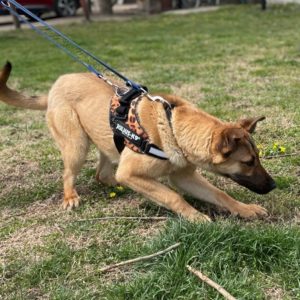 277801939_2166965583456983_3137711345856920141_n 277801939_2166965583456983_3137711345856920141_n