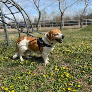 277813373_2166924390127769_4241307882107677758_n 277813373_2166924390127769_4241307882107677758_n