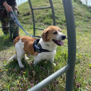 278040812_2166924413461100_92586838276301383_n 278040812_2166924413461100_92586838276301383_n