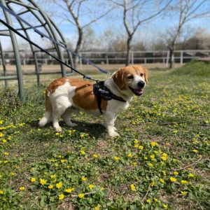 278069724_2166924546794420_9154229149304062879_n 278069724_2166924546794420_9154229149304062879_n