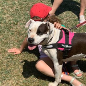 280372619_2710153732459853_6182919471552105027_n