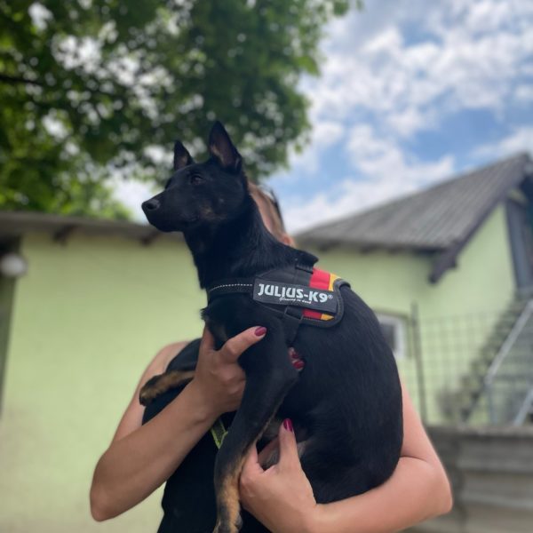 280673708_2198375856982622_4056782682749564869_n