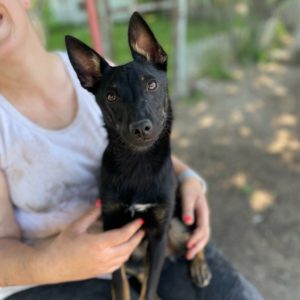 280933075_2198375596982648_2633321271166671773_n