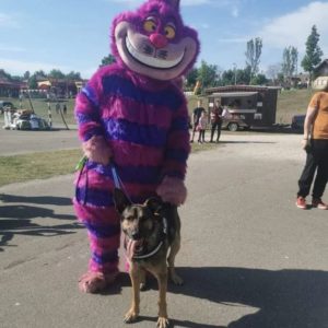 281362003_2197461733740701_68413662558593042_n