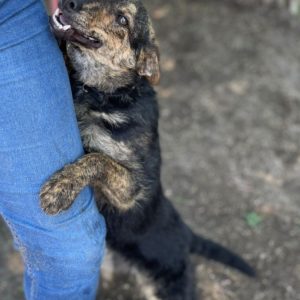 281619895_2198384680315073_8015637392155067851_n