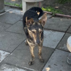 281714704_2198384750315066_4113472081167874388_n