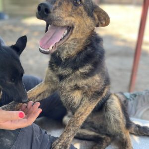 281850425_2198384683648406_4352905751843769766_n