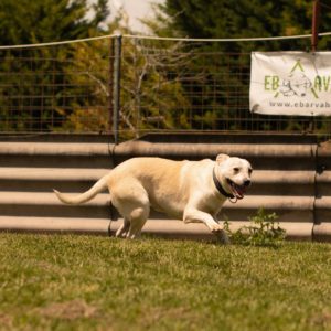 282125473_2210685399085001_4539362038921454365_n 282125473_2210685399085001_4539362038921454365_n