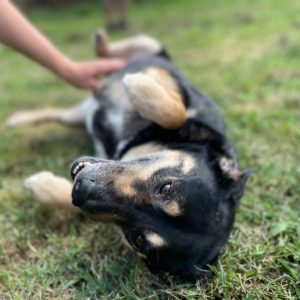 282175894_2211272392359635_8426617053857875050_n