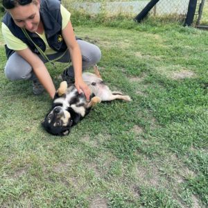 282249662_2211272292359645_80784398752093523_n