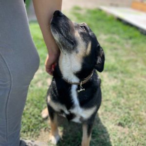 282787308_2211272249026316_8006953322064170787_n