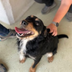 283930059_2211263709027170_5900132490000698894_n 283930059_2211263709027170_5900132490000698894_n