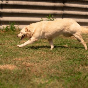 283993292_2210688455751362_4237148139886434277_n 283993292_2210688455751362_4237148139886434277_n