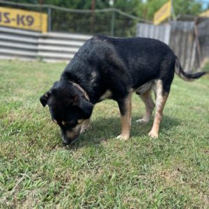 284285111_2211272309026310_7847293843729424826_n