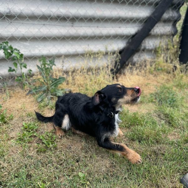 284296174_2211269009026640_4622196337251610185_n 284296174_2211269009026640_4622196337251610185_n