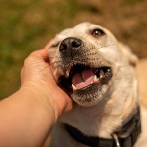 284379237_2210685669084974_3438642194656368836_n