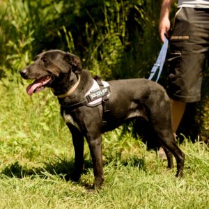 284696053_2217513205068887_8737832776884811694_n 284696053_2217513205068887_8737832776884811694_n