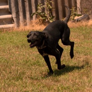 284849373_2217513081735566_1545891650386691197_n 284849373_2217513081735566_1545891650386691197_n