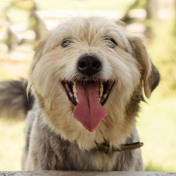 284946307_2217507031736171_2590899659826823371_n 284946307_2217507031736171_2590899659826823371_n