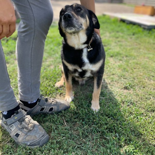 285144178_2211272302359644_7768349118899384299_n