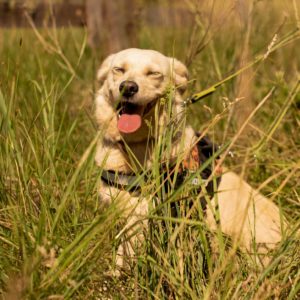 285336147_2220477838105757_1968913950083130781_n 285336147_2220477838105757_1968913950083130781_n