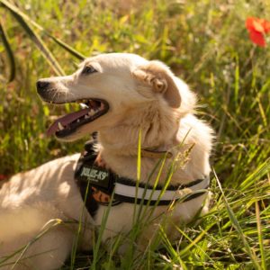 285477711_2220477791439095_1317796189199853355_n 285477711_2220477791439095_1317796189199853355_n