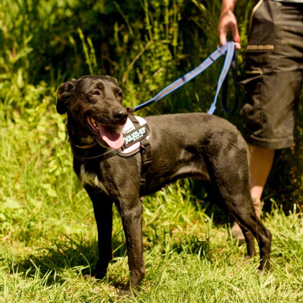 285511274_2217512928402248_5951150656341037341_n 285511274_2217512928402248_5951150656341037341_n