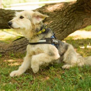 285545822_2217506065069601_4207298579955209446_n 285545822_2217506065069601_4207298579955209446_n