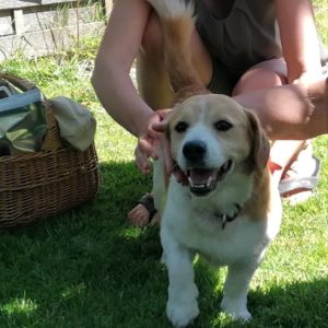 286255150_2222093201277554_1805485955052010653_n