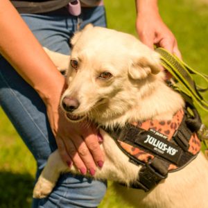 286416748_2220477741439100_2684475159961176160_n 286416748_2220477741439100_2684475159961176160_n