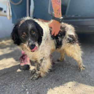 286651007_811879343130790_6810168291646566816_n