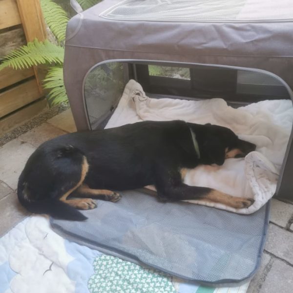 287004562_480870183808656_189727033787260663_n