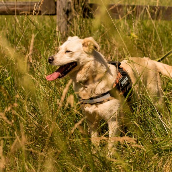 287255242_2220477841439090_8496339158870887806_n 287255242_2220477841439090_8496339158870887806_n