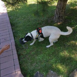 287367217_1631289060599399_3026742117129159890_n