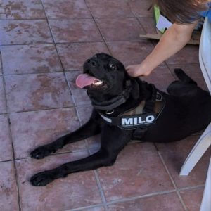 287634126_2225906057562935_4033282124142098337_n