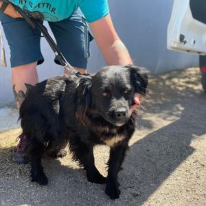 289447072_1214256536044447_1132851492946568295_n