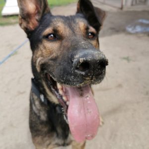 240589029_2004012946418915_9211051195992126155_n