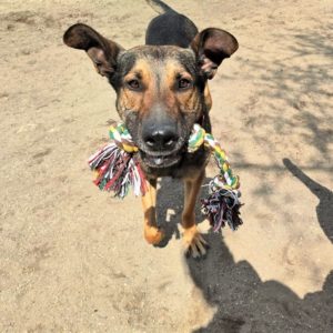 279207460_2183699535116921_813976295014993117_n