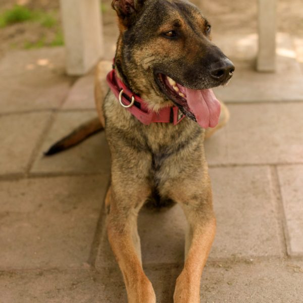 287623897_2225928954227312_1918098593166488513_n