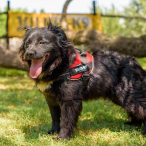 291006854_2239715596181981_2874315169183990972_n 291006854_2239715596181981_2874315169183990972_n