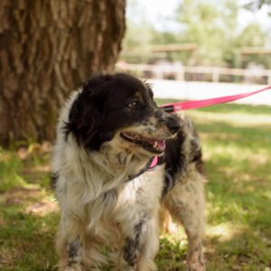 291486204_2239479382872269_8362004612276022675_n