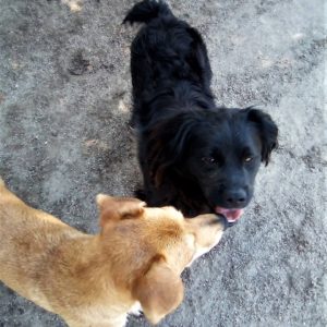 291569365_2239715799515294_1432114646315514131_n 291569365_2239715799515294_1432114646315514131_n