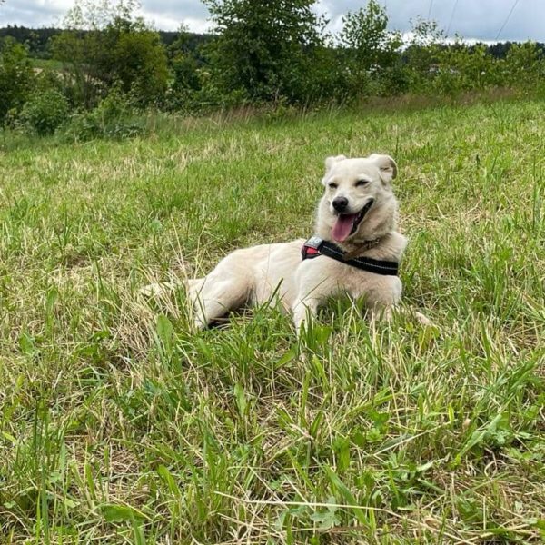 291934898_2242856242534583_5800289337354569633_n