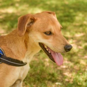 292018262_2240576709429203_286785402021195387_n 292018262_2240576709429203_286785402021195387_n